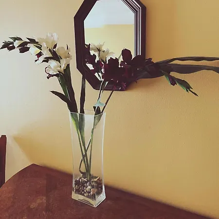 Hostal Viialan Seurahuone Viiala